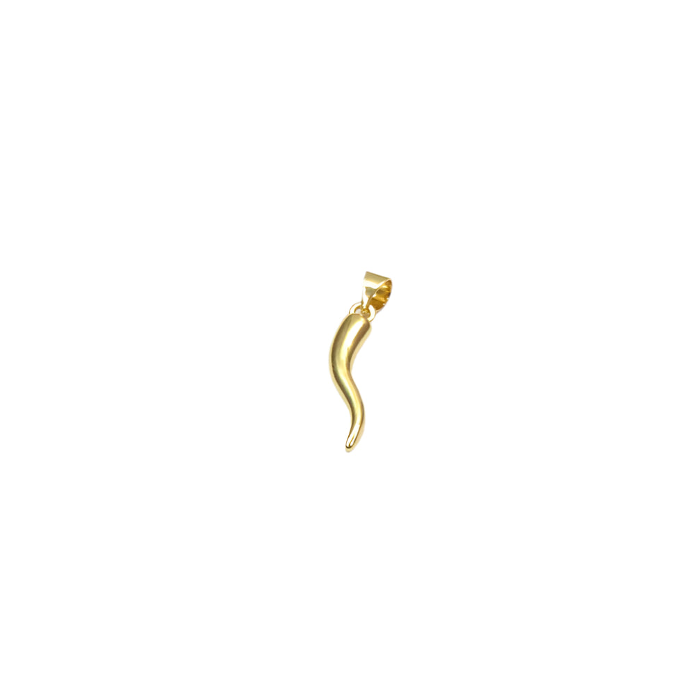 HORN CHARM
