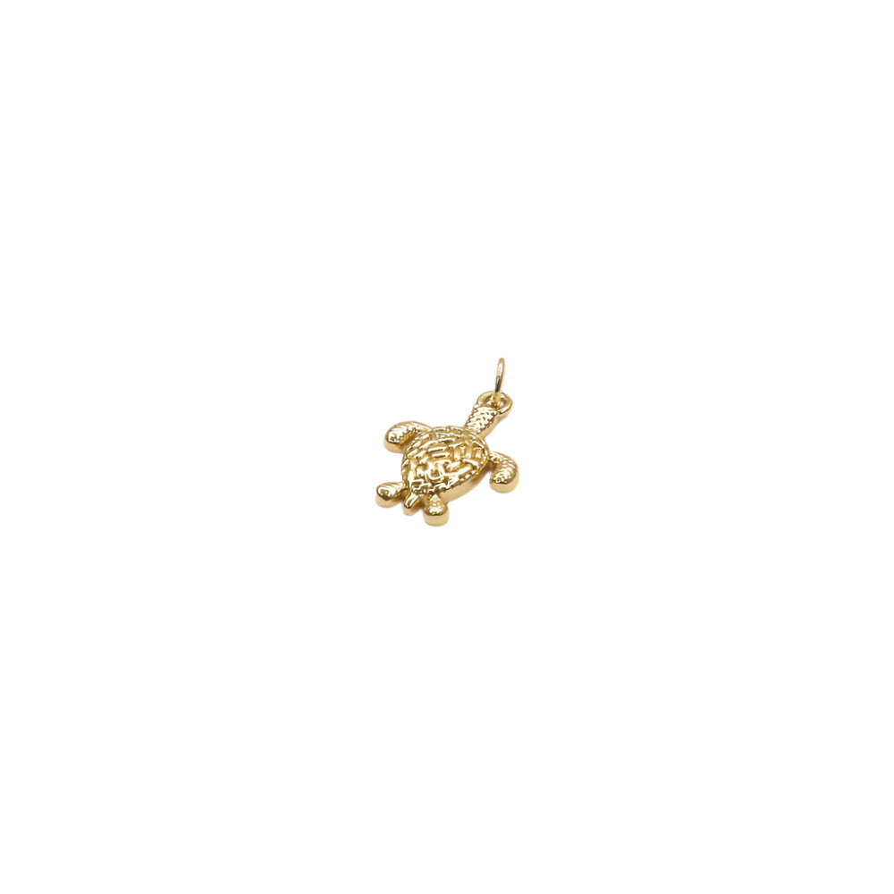 MINI TORTUGA CHARM