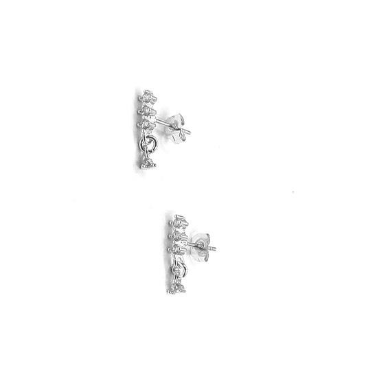 Pair of silver earrings on a white background