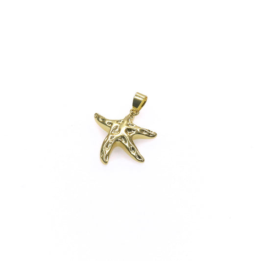 SEA STAR CHARM