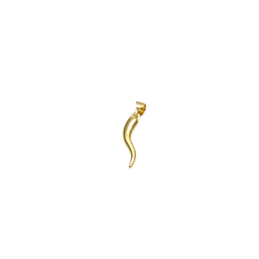 HORN CHARM