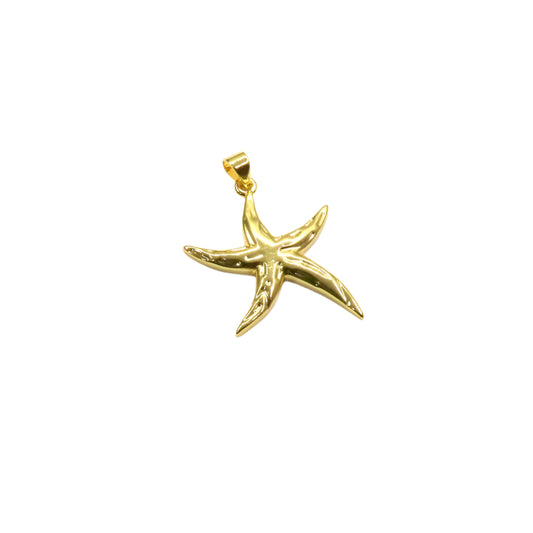 Sleek Polished Starfish Pendant