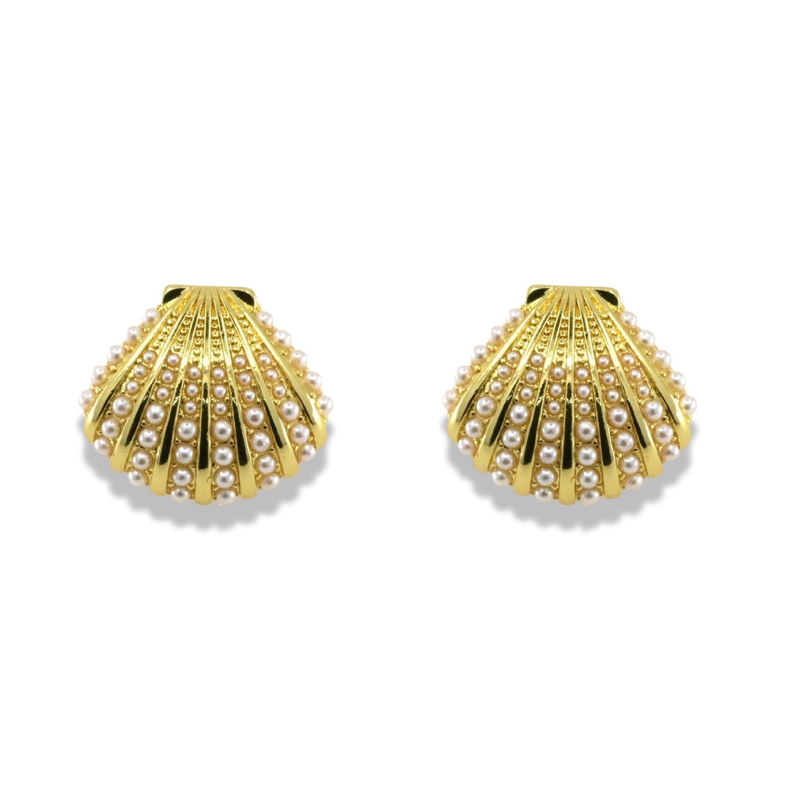 Pearl Scallop Shell Stud Earrings