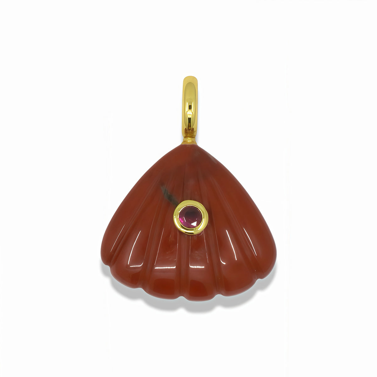 Seashell Pendant With 14k Gold Plated Hook