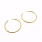 STAINLESS STEEL GOLD CLASSIC HOOP