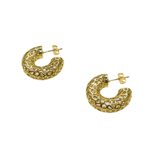 CHUNKY HALLOW EARRING