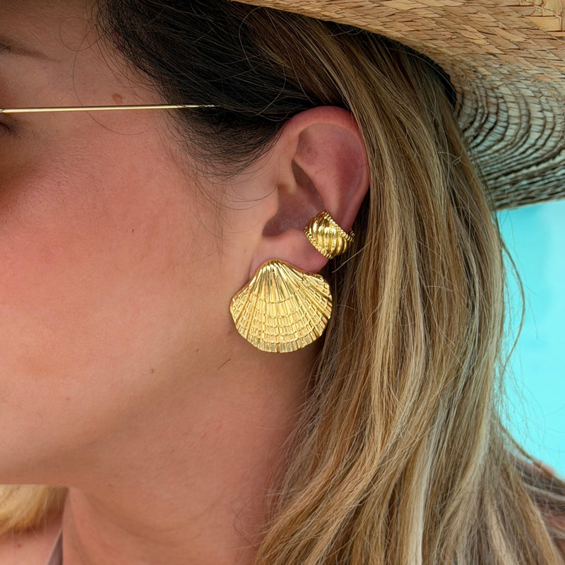 Textured Scallop Shell Earrings