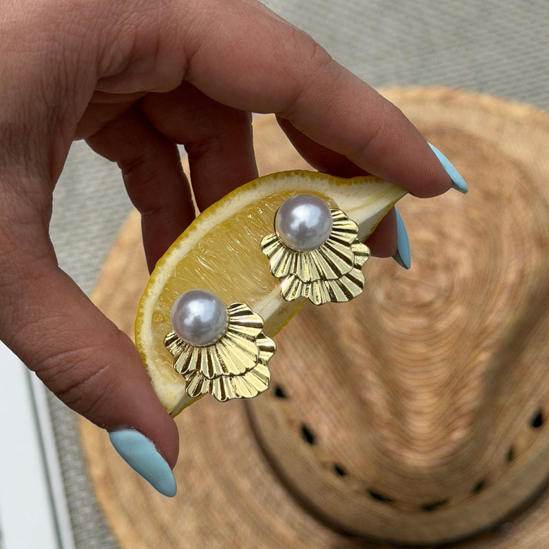 Pearl Scallop Shell Stud Earrings