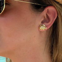 Tropical Fish Stud Earrings – 14K Gold Filled