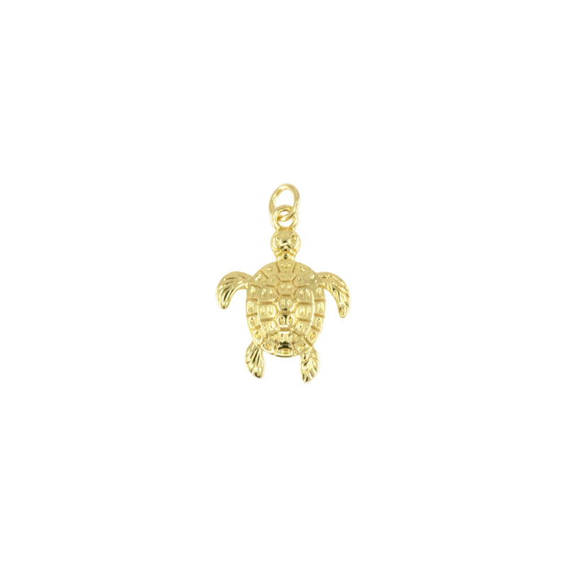 Textured Sea Turtle Charm
