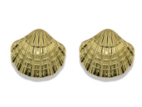 Textured Scallop Shell Earrings