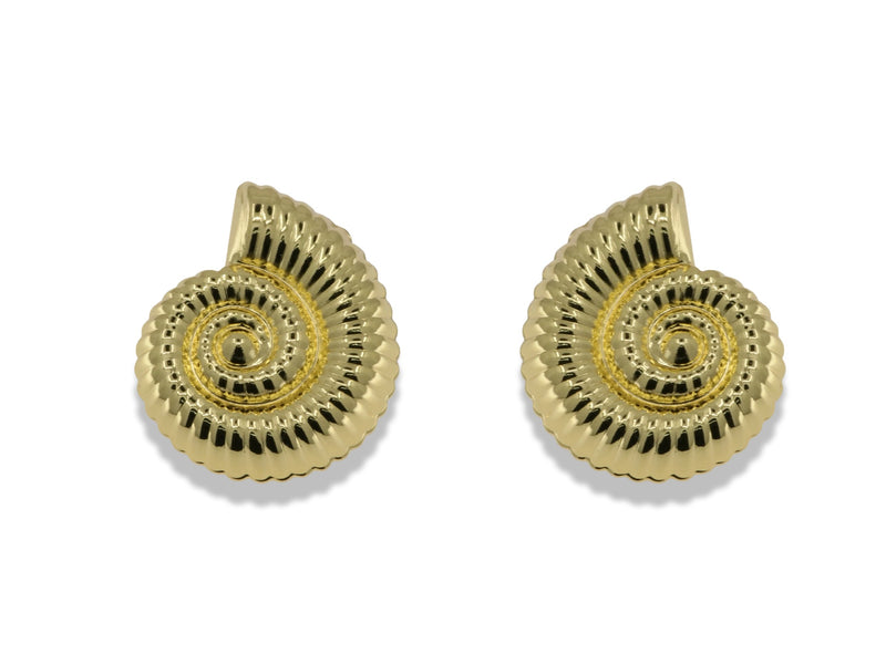 Spiral Seashell Stud Earrings