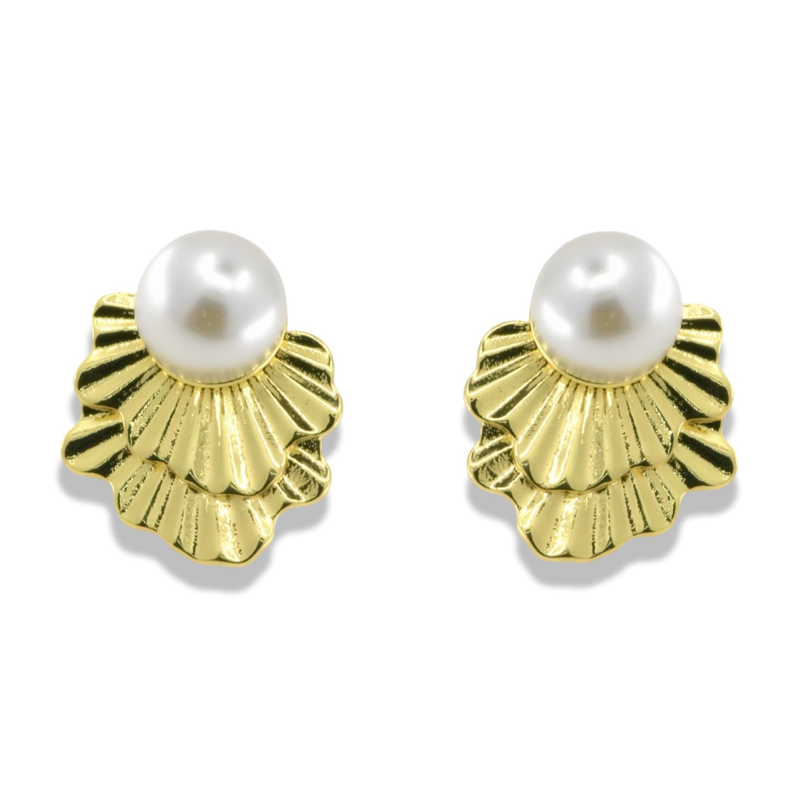 Pearl Scallop Shell Stud Earrings