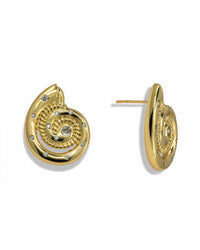 Gold shell earring